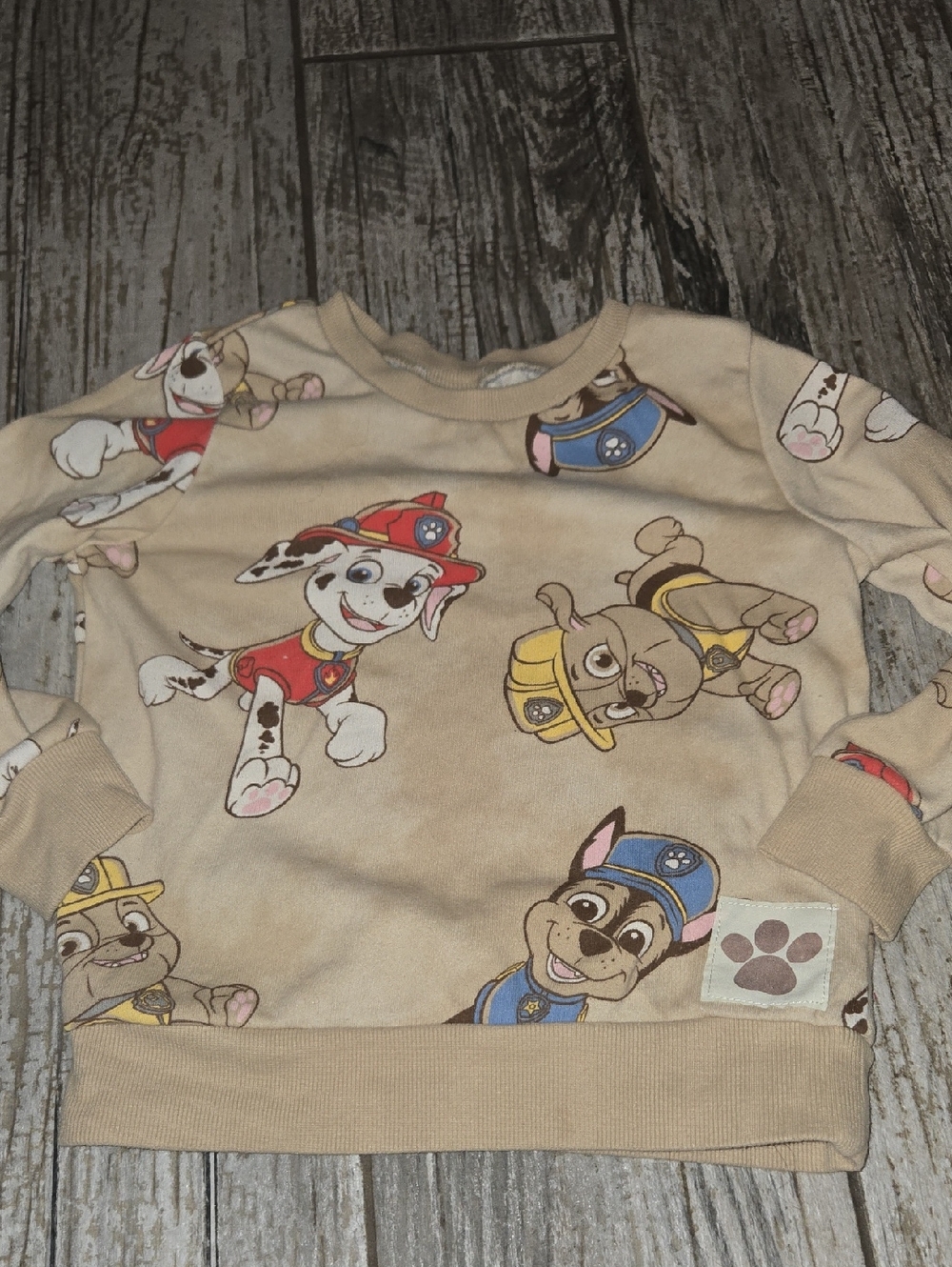 Paw Patrol Beige Kids Sweatshirt with Character Print